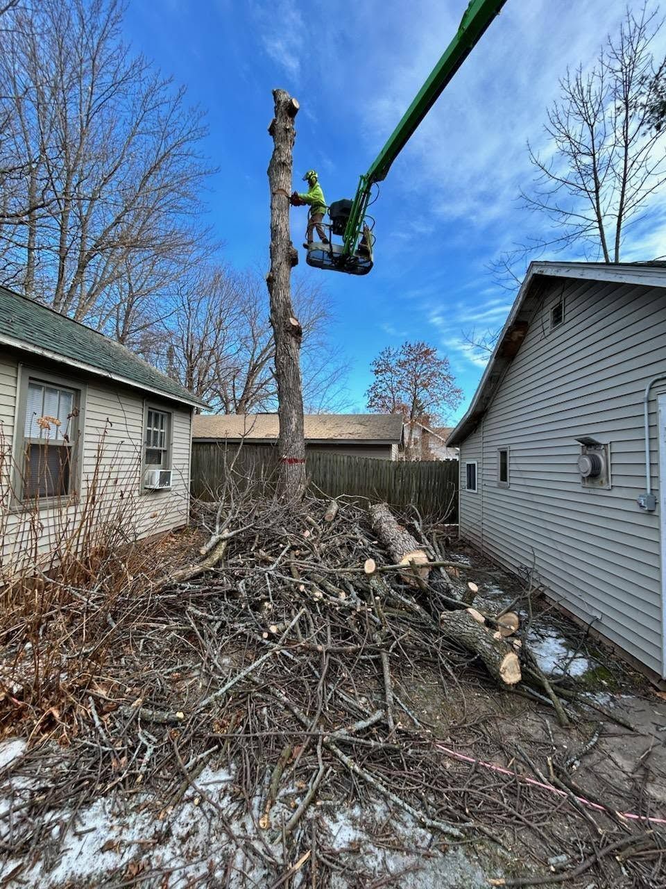 Tree being cut down in a backyard between two houses, with a crane lifting branches over a large brush pile.