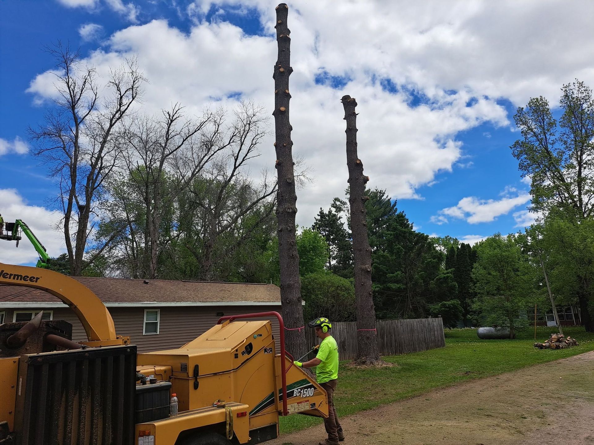 Worker in high-vis gear operating a wood chipper beside two cut tree trunks in a residential yard