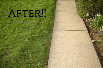 Sidewalks After