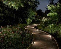 A wooden walkway surrounded by trees and bushes is lit up at night