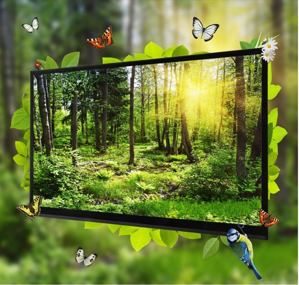 A picture of a forest with butterflies surrounding it