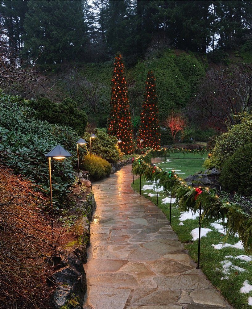 A path with christmas trees on the side of it