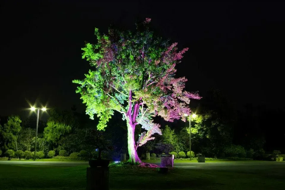 Tree lit with bright green and pink lights at night in a dark park