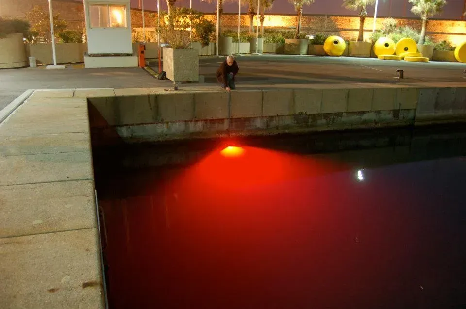 Red-lit water under a concrete bridge at night in an urban park