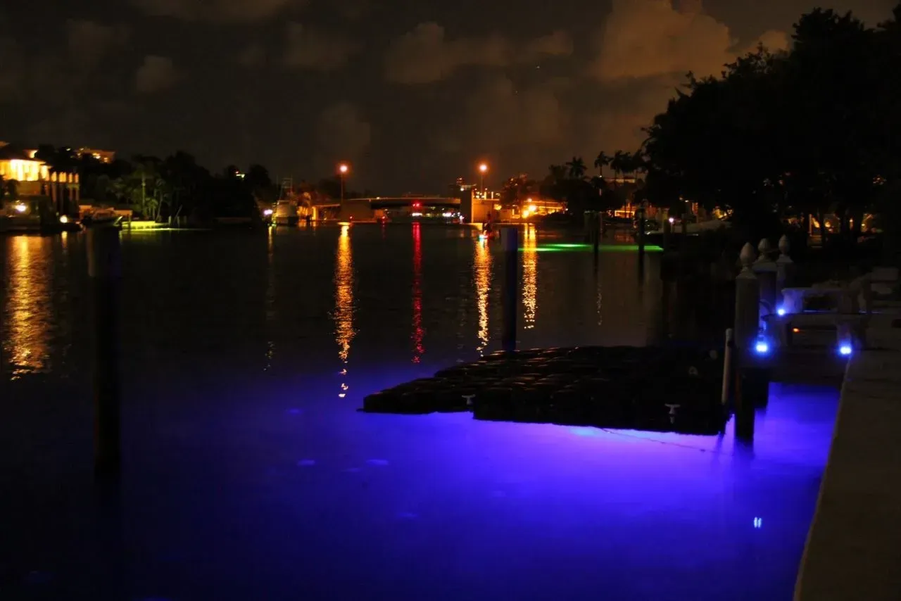 Nighttime waterfront with glowing blue lights reflecting on calm water and distant city lights.