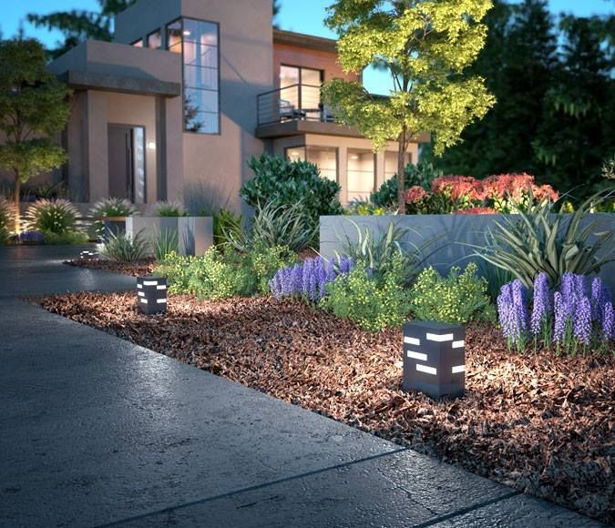 Modern house with landscaped front yard, purple flowers, and lit path lights at dusk