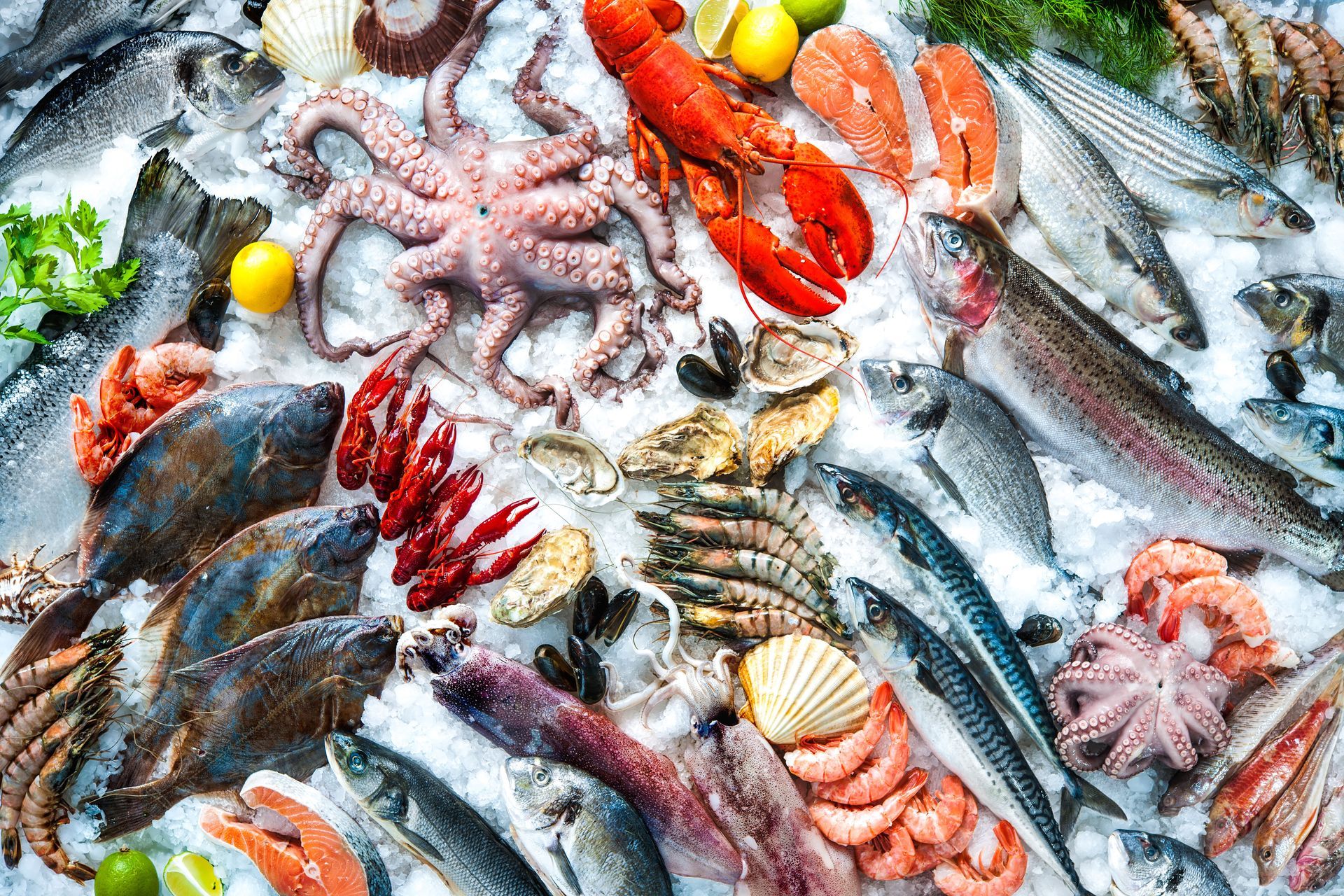 fresh seafood