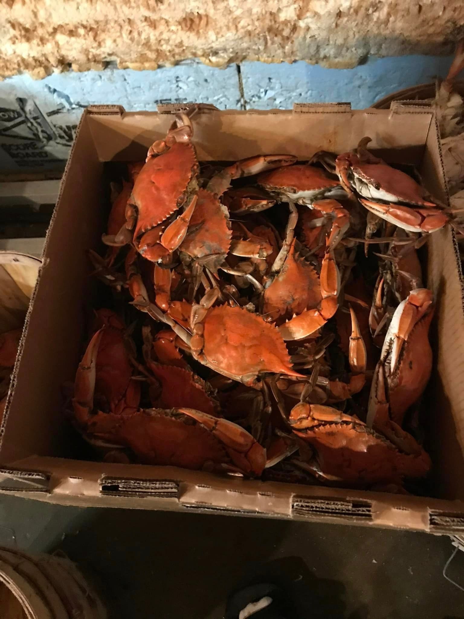 A cardboard box filled with several cooked, bright orange blue crabs.