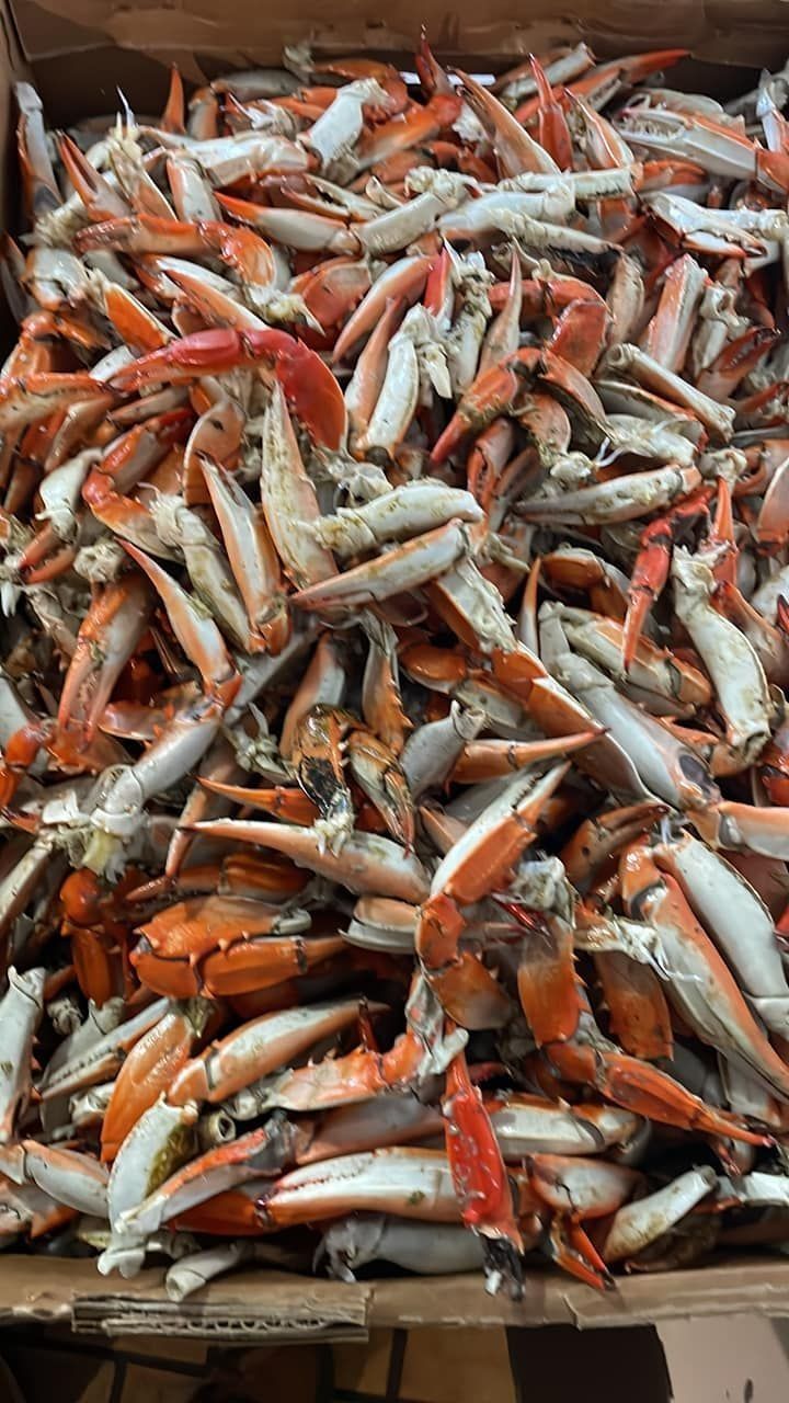 A large, packed container overflowing with many cooked, orange and white crab claws.