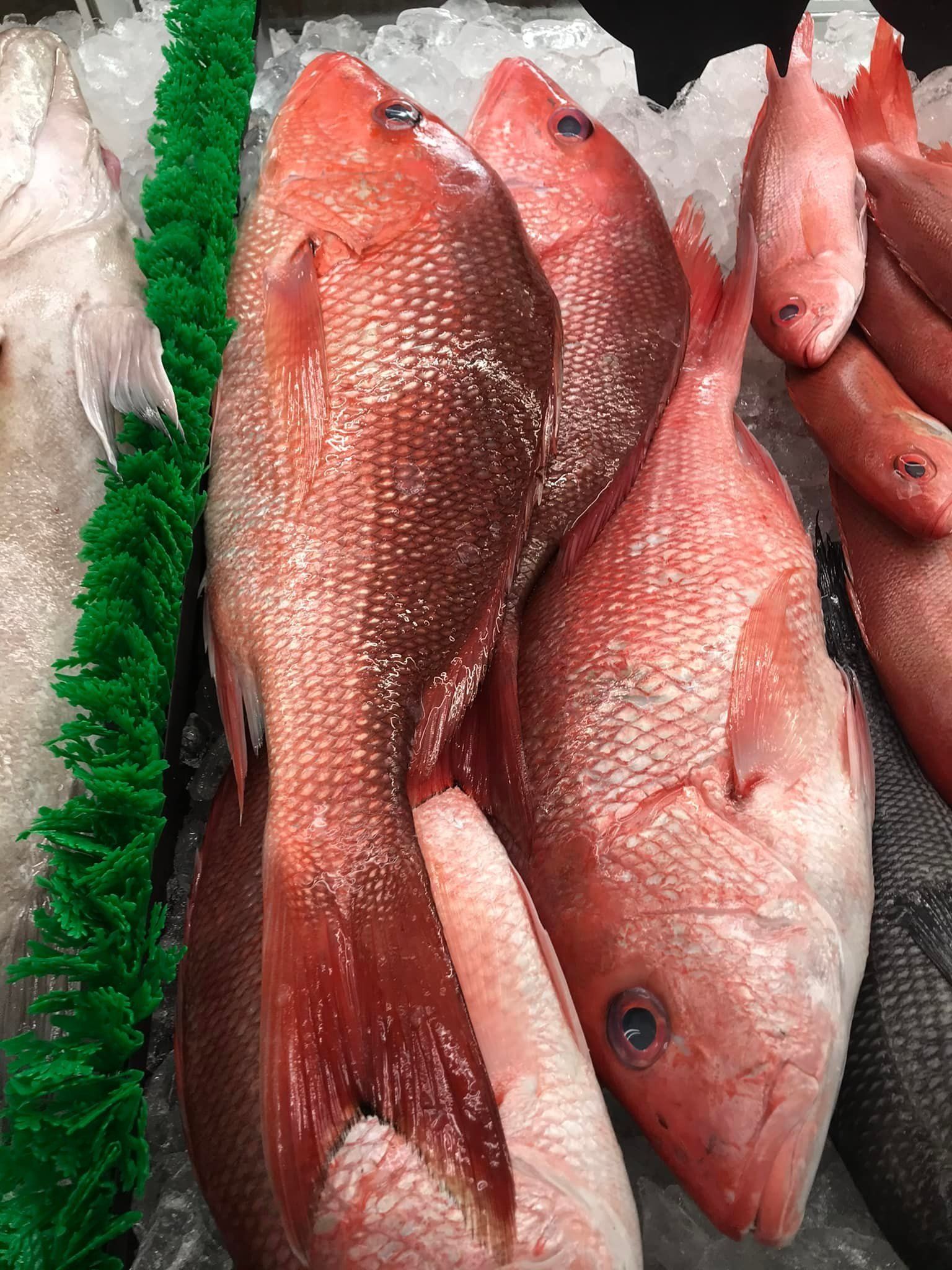 Fresh red snapper fish laid out on a bed of crushed ice at a seafood market.