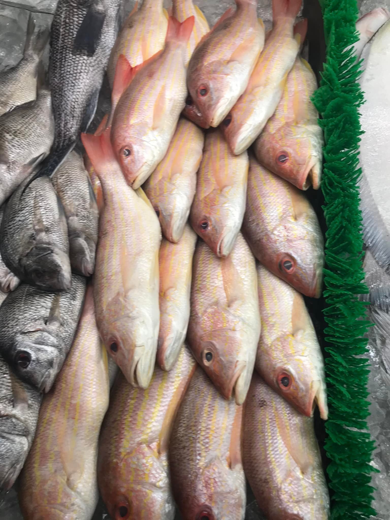A close-up of fresh fish for sale at a market, featuring red snapper alongside darker, gray-scaled fish on ice.