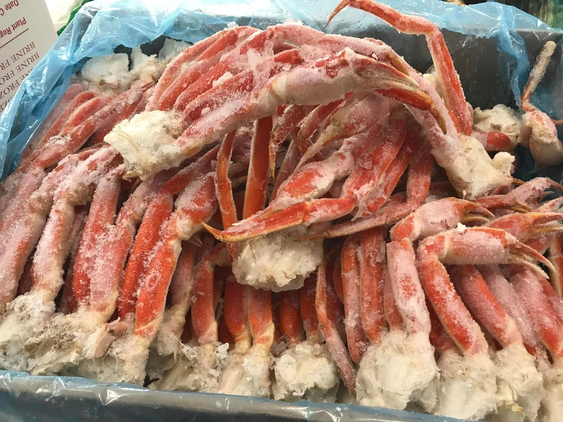 A pile of frozen red snow crab legs inside a container lined with blue plastic.