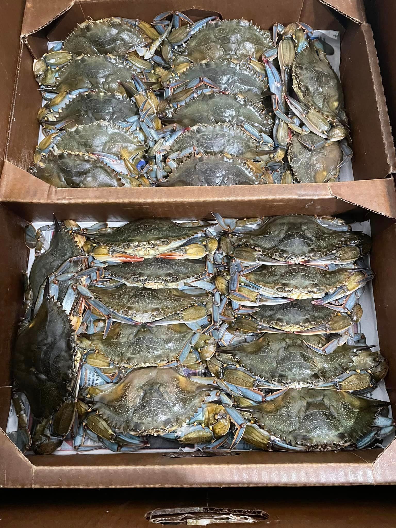 Two brown cardboard boxes filled with raw blue crabs arranged in columns.