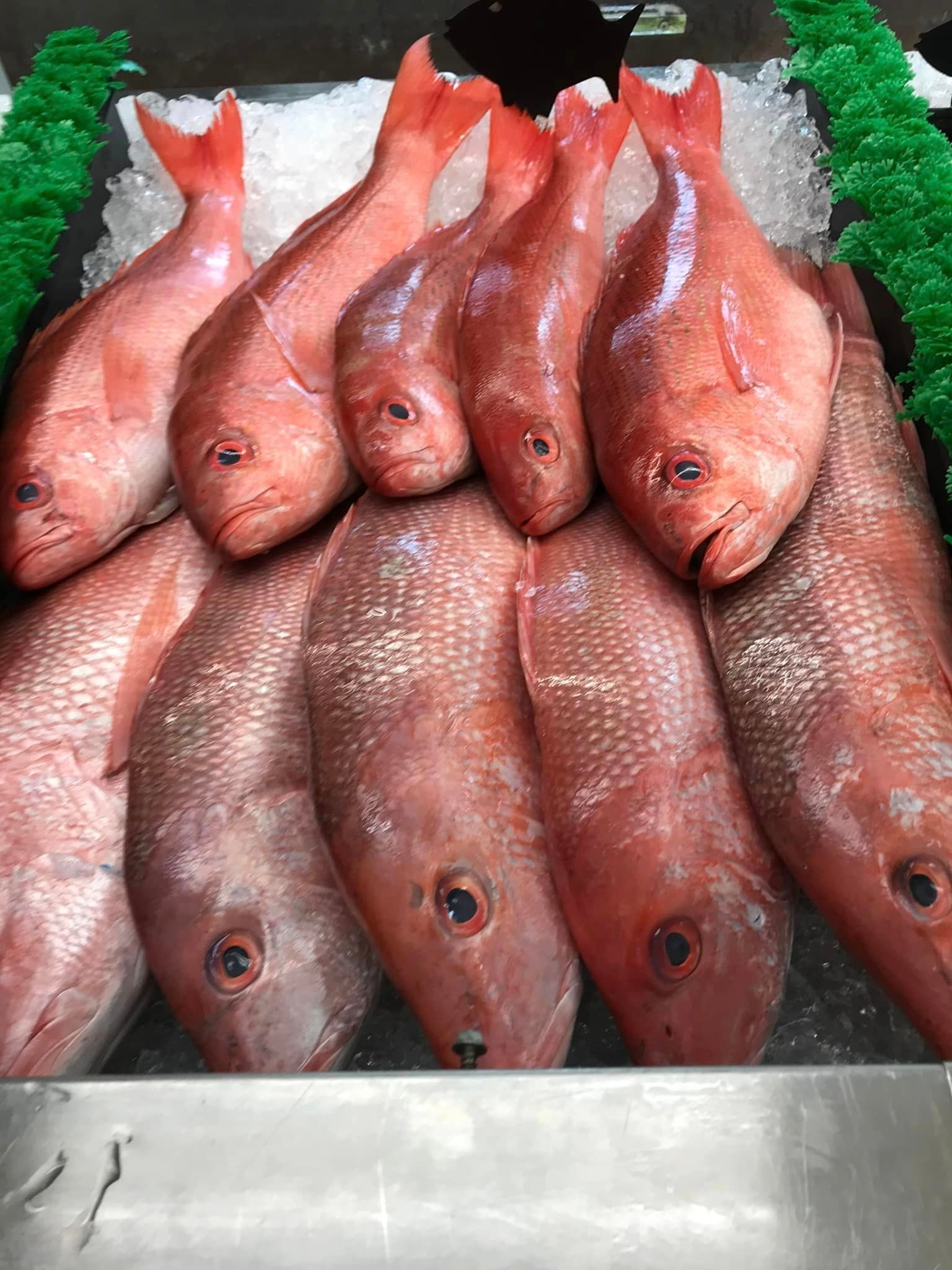 Several whole red snapper fish displayed on a bed of crushed ice at a market.