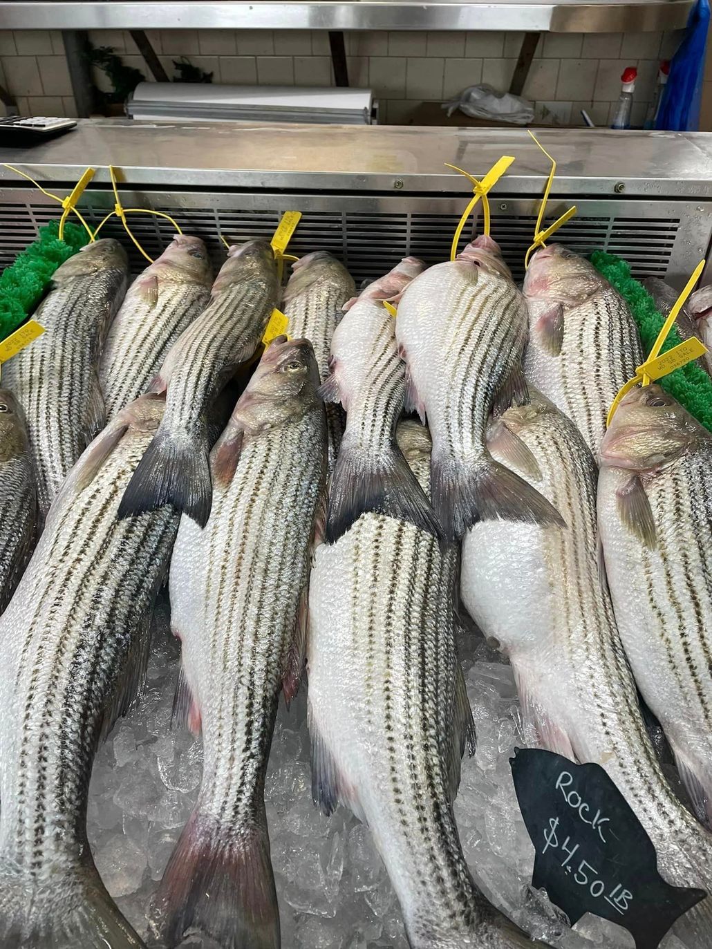 Fresh striped fish displayed on ice at a market, with yellow price tags attached