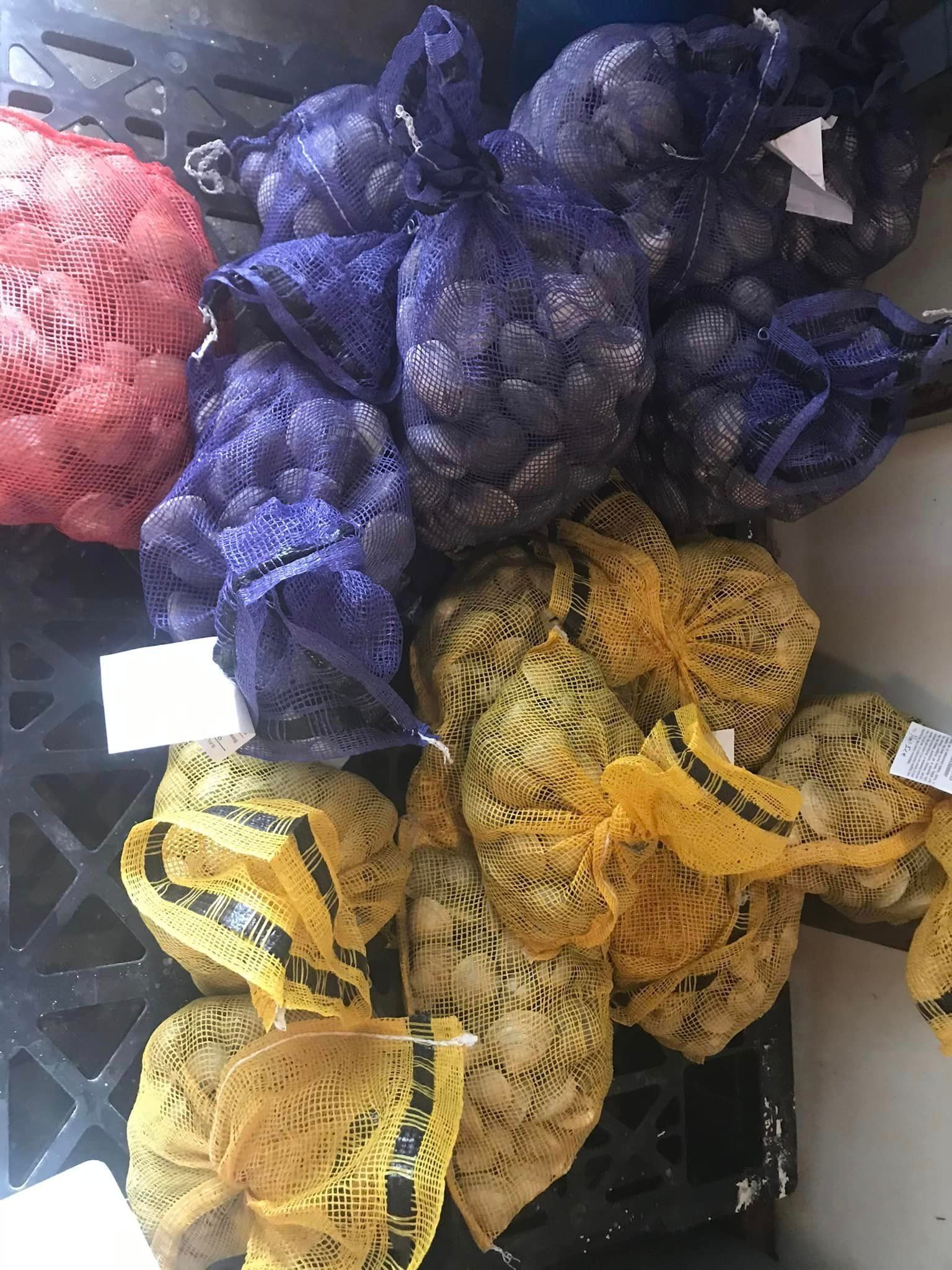 Mesh bags of red, purple, and yellow potatoes stacked in black plastic crates.