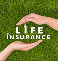Life Insurance