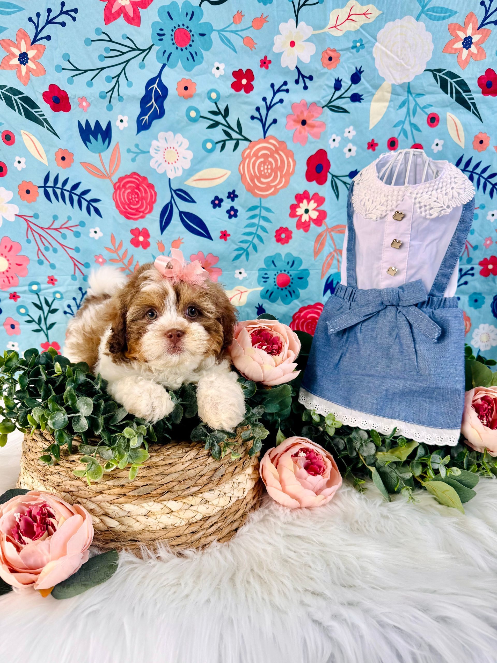 Small black-and-tan puppy sitting in a blue bucket behind a wooden bunny cutout with flowers and greenery.