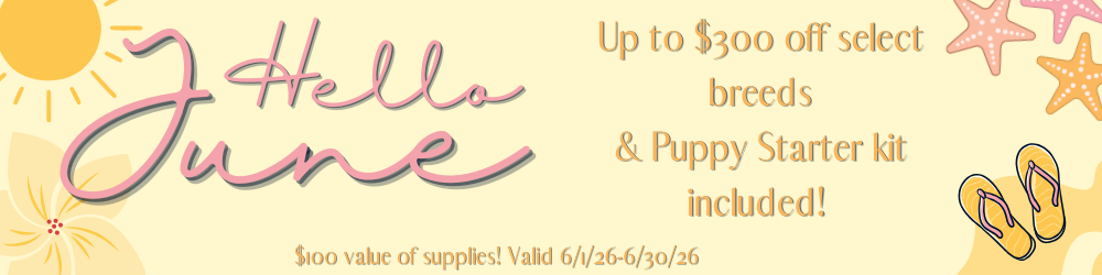 Promotional banner for “Hello June” with a sun and text about up to $300 off select breeds and puppy starter kit included