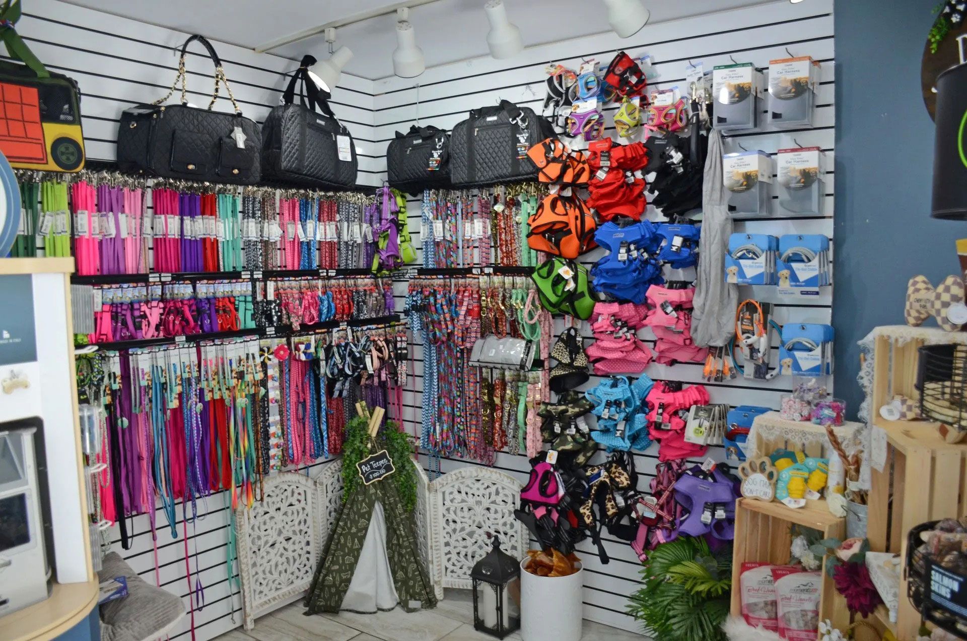 A retail display of colorful dog leashes, harnesses, and bags arranged on slat walls in a pet supply store.
