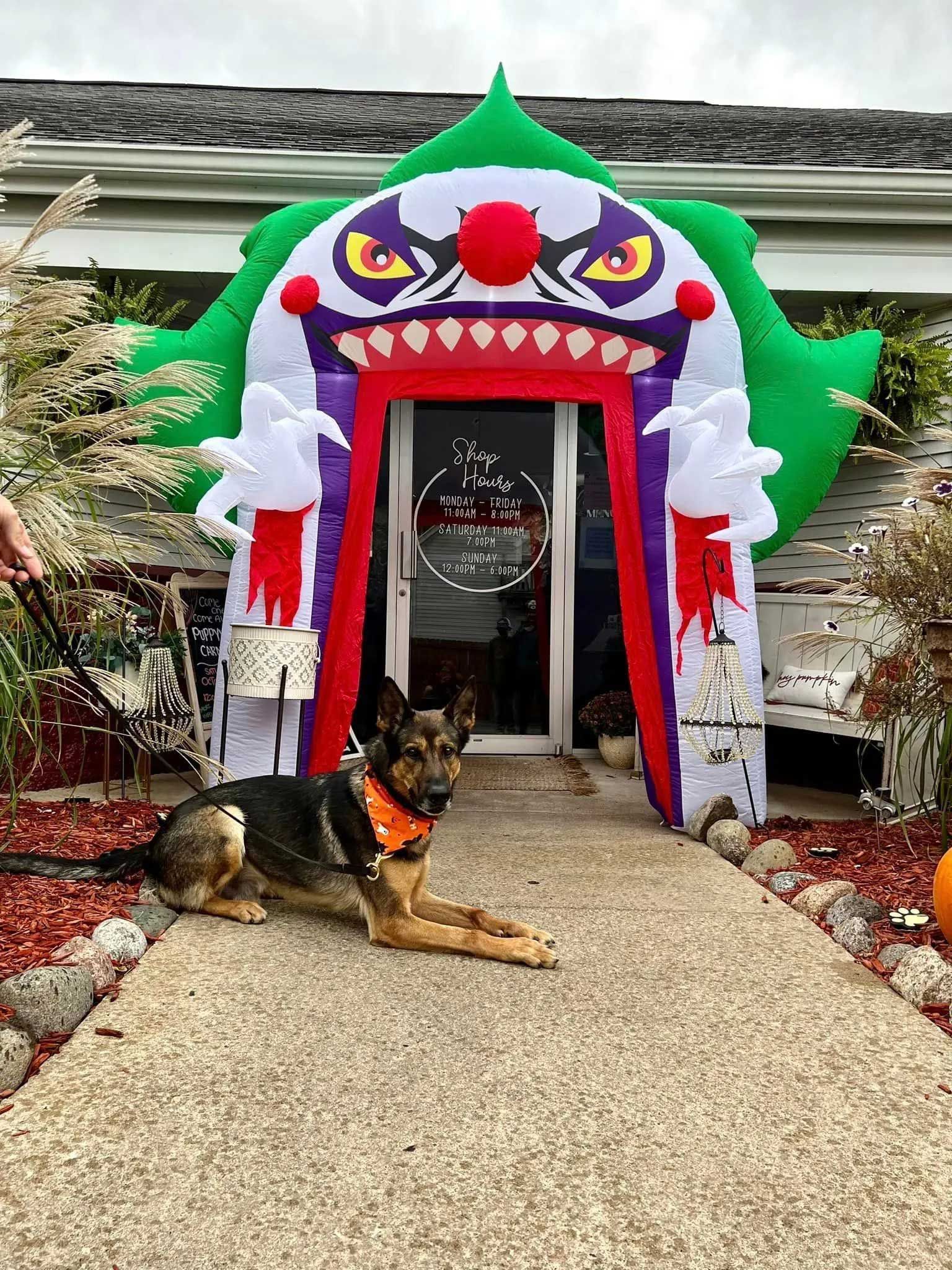 A German Shepherd wearing an orange bandana lies on a walkway before an inflatable clown archway with a scary expression.