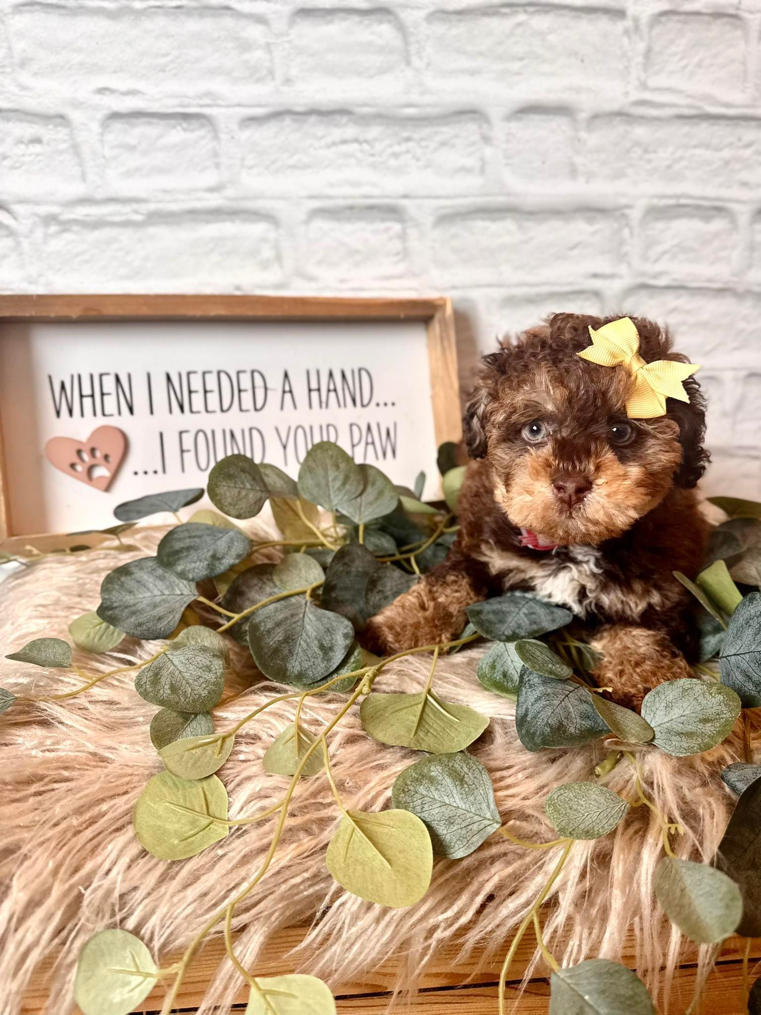 Teddy bear on straw with green leaves, beside a framed quote sign against a white brick wall.