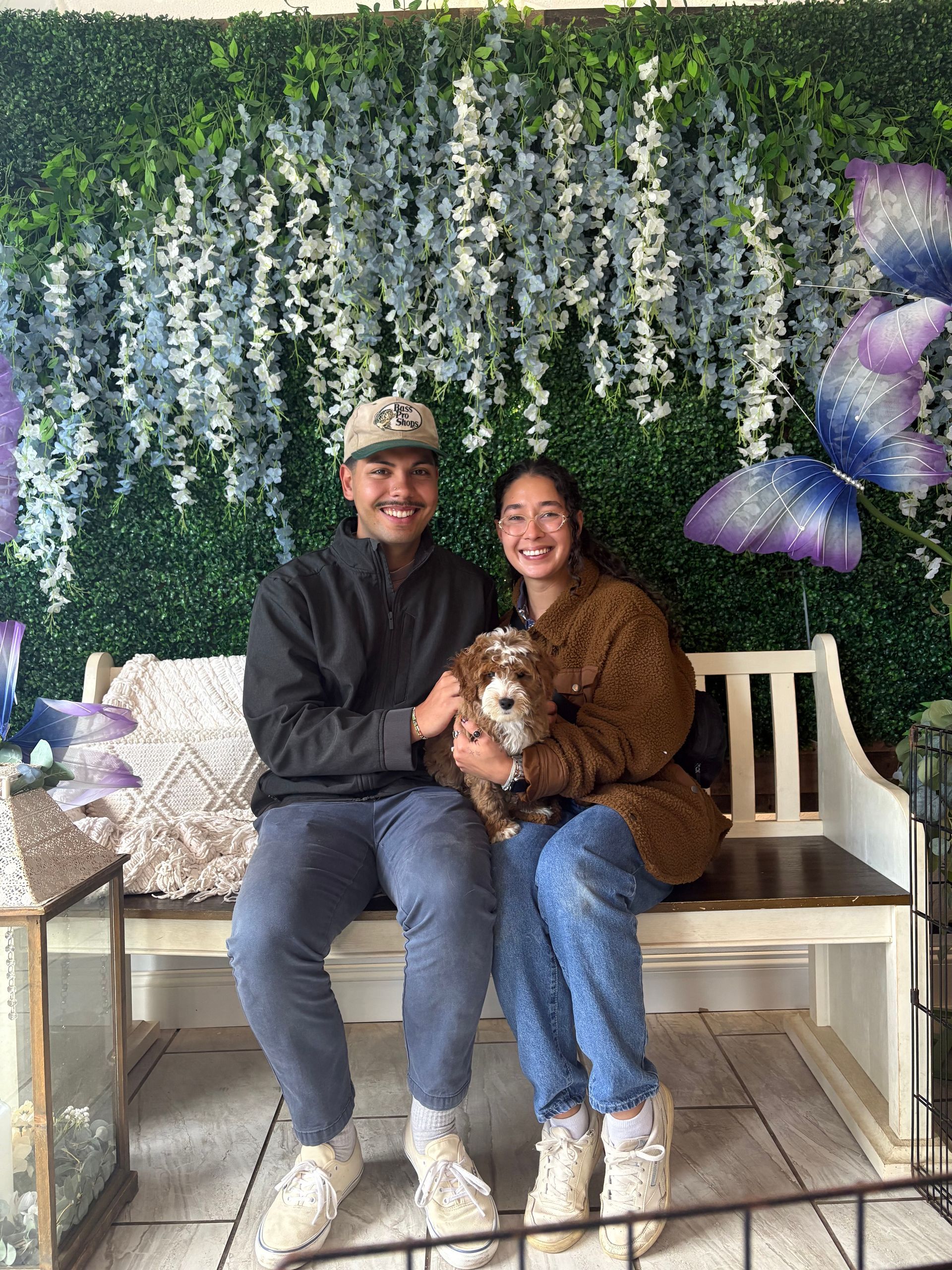 Small dog on a bench in front of a Home Sweet Home sign with eucalyptus decor.