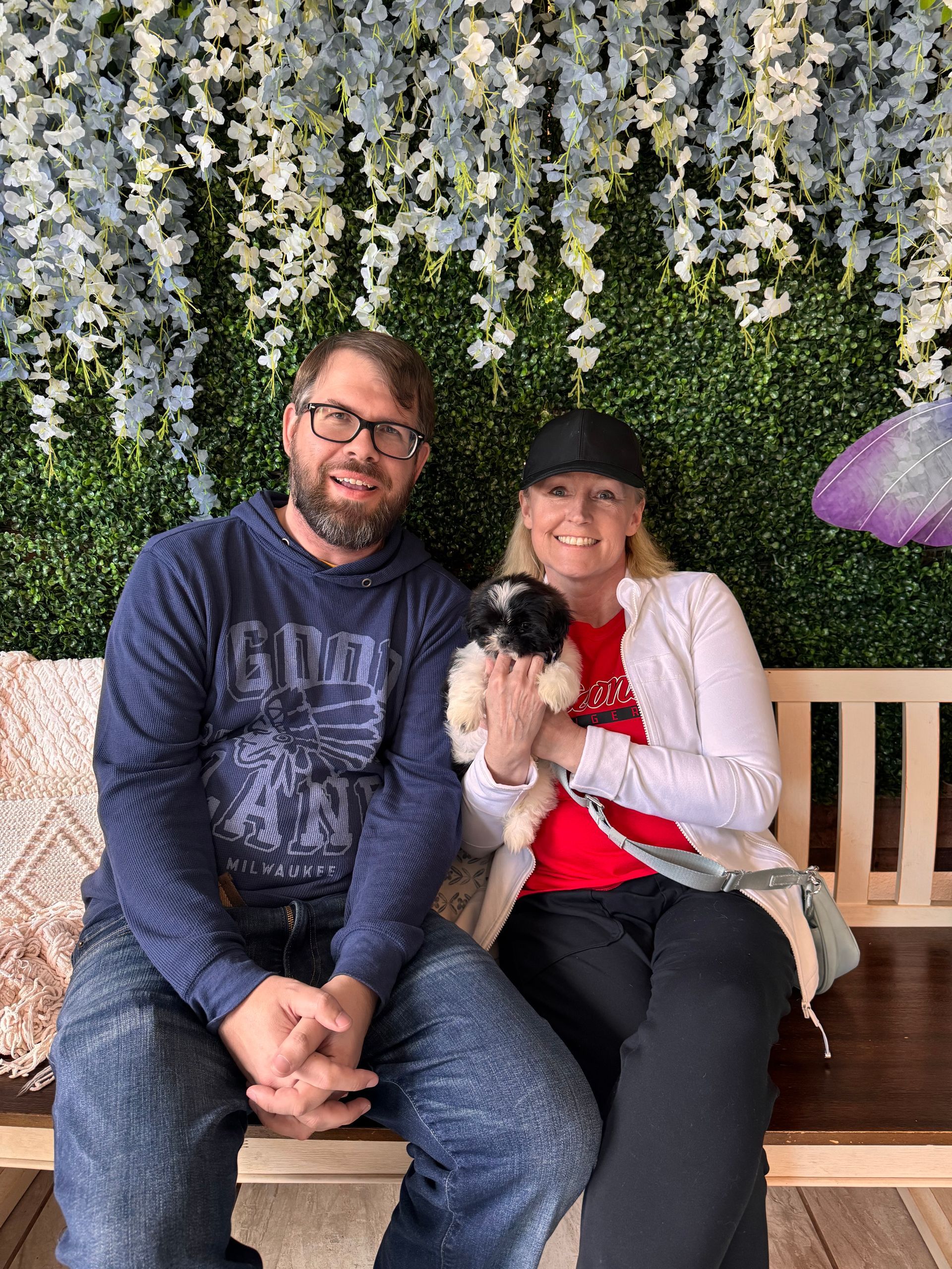 Small Female Morkie puppy