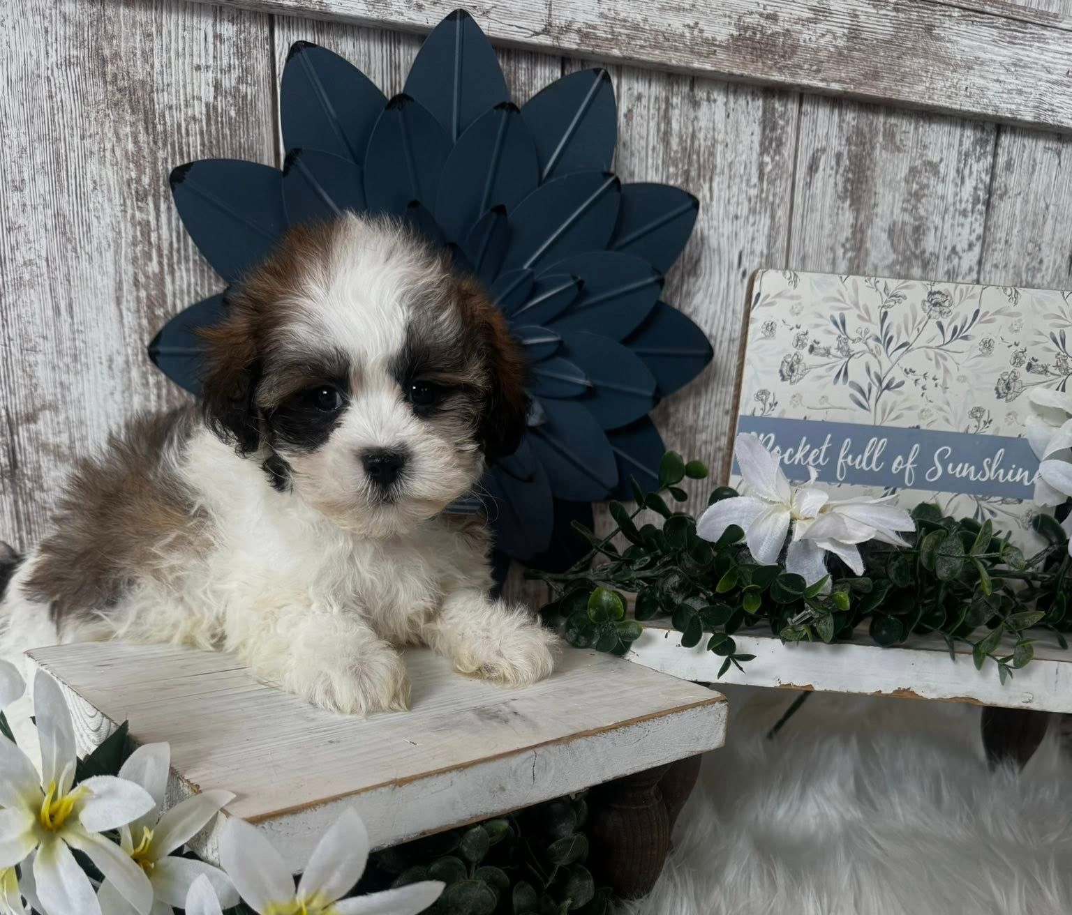 White fluffy puppy wearing a blue and pink bandana, posed before flowers and a 