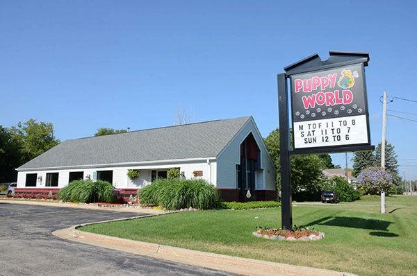 A Puppy World sign stands next to a single-story white building with a gray roof on a sunny day with a clear blue sky.