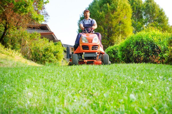 Learn More About Lawn Care Lawn mowing