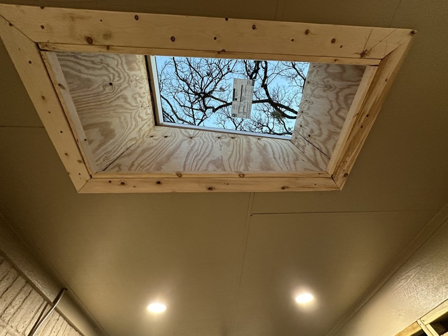 Ceiling view of a skylight framed in wood, showing tree branches outside and two recessed lights below