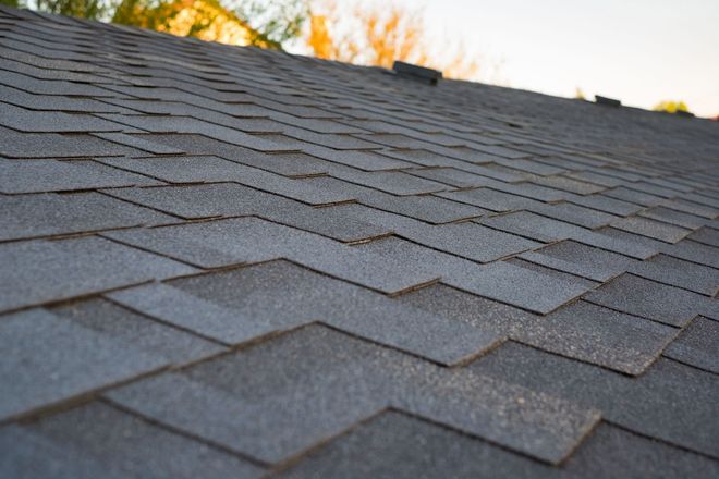 Close-up of gray asphalt roof shingles with warm sunset light and blurred trees in the background