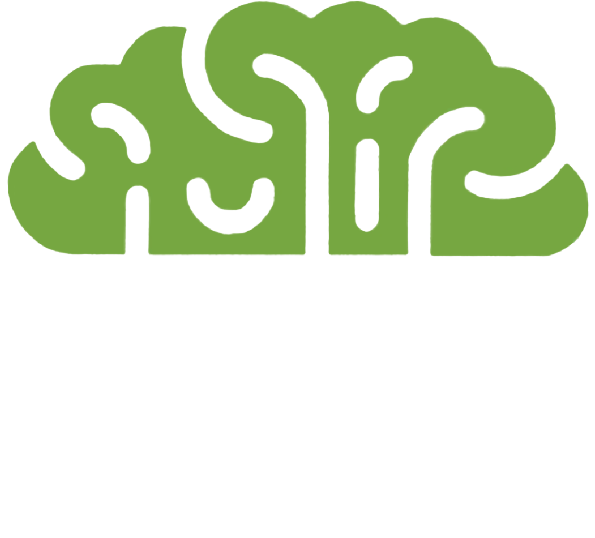 BrainWave Computers | Logo