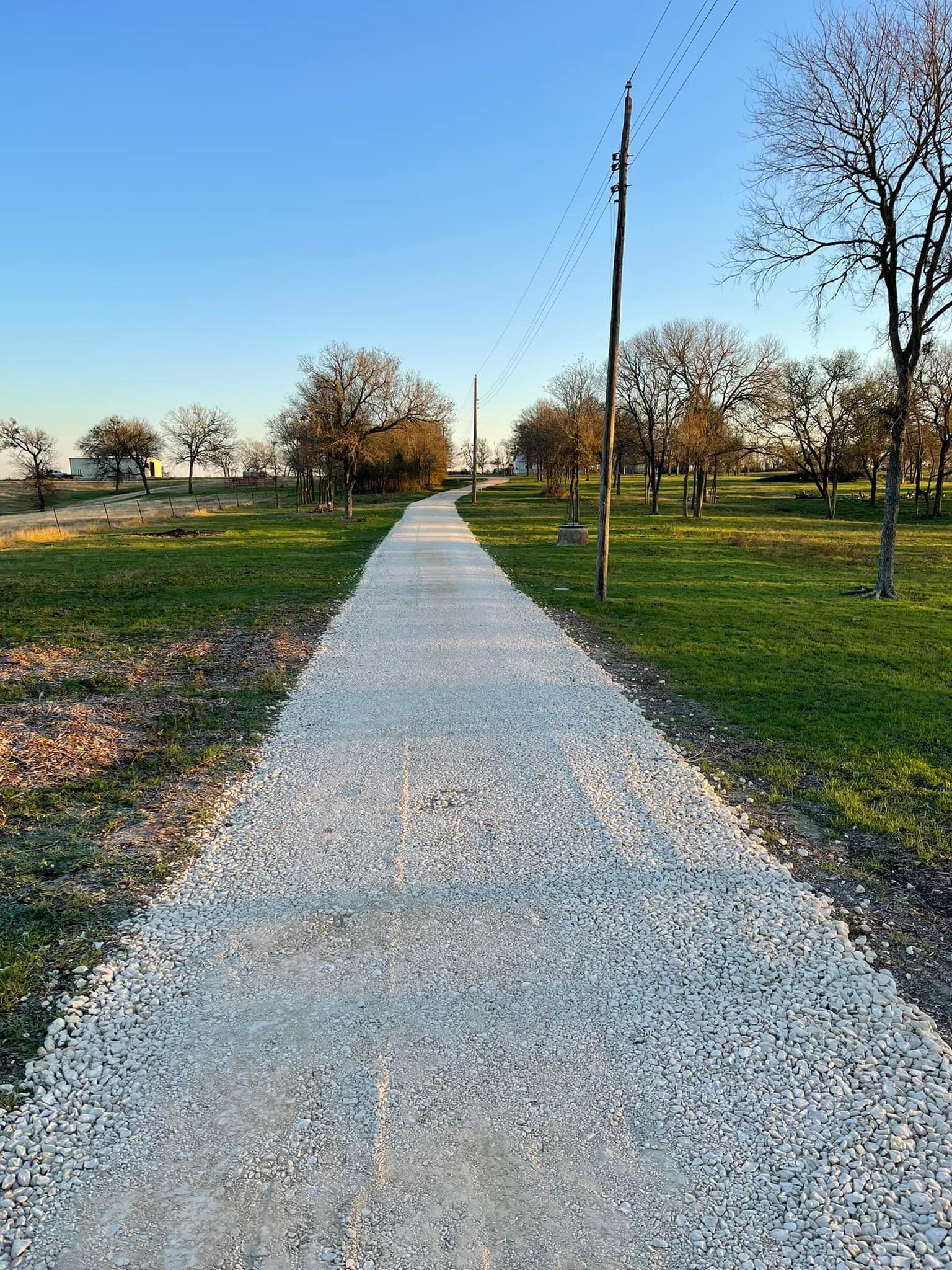 Gravel path through a park, trees on either side, blue sky, flock of birds in the distance.