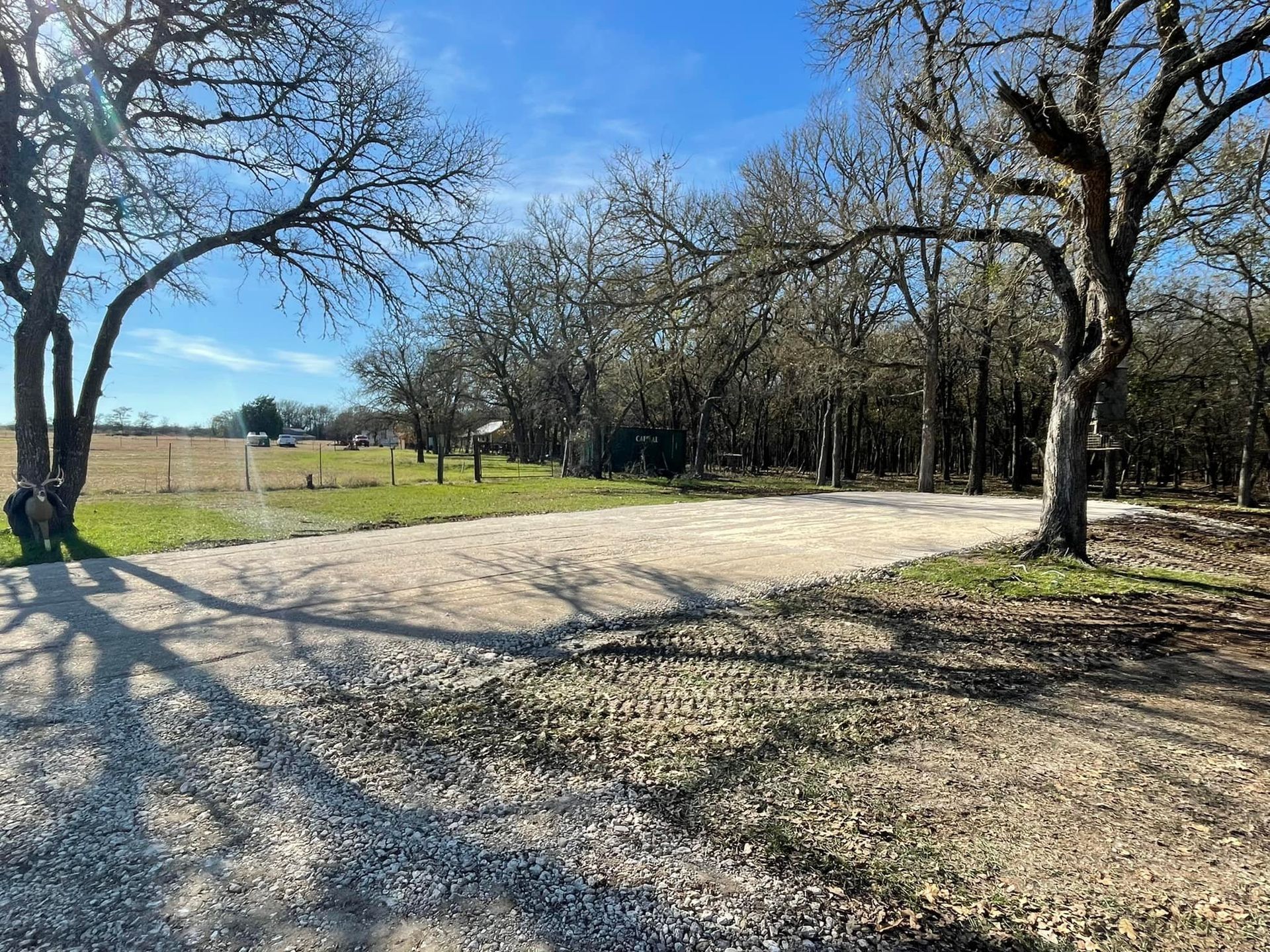 Gravel driveway and cleared area between trees on a sunny day with a field in the background.