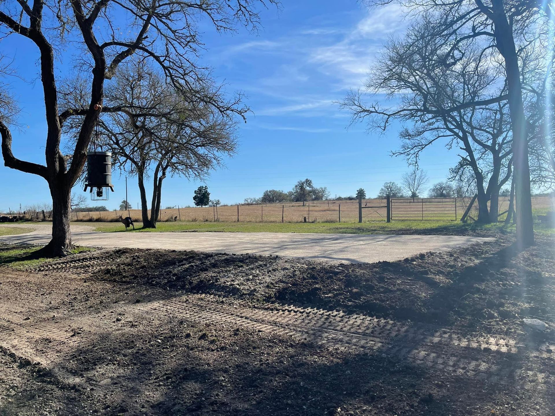 Dirt road and field beneath a bright blue sky with trees.