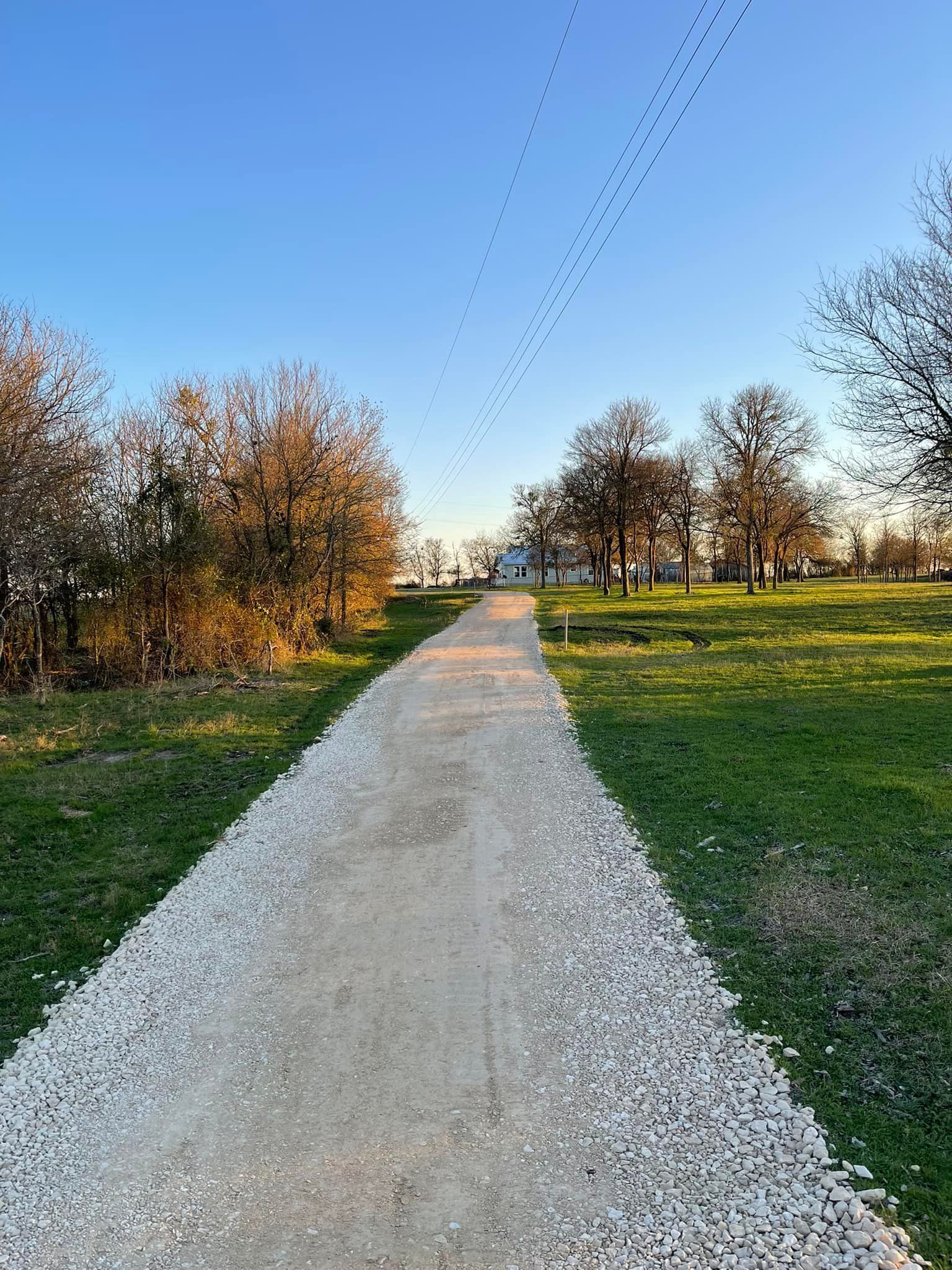 Pathway through a park, with a flock of birds in the blue sky. Trees and grass line the path.