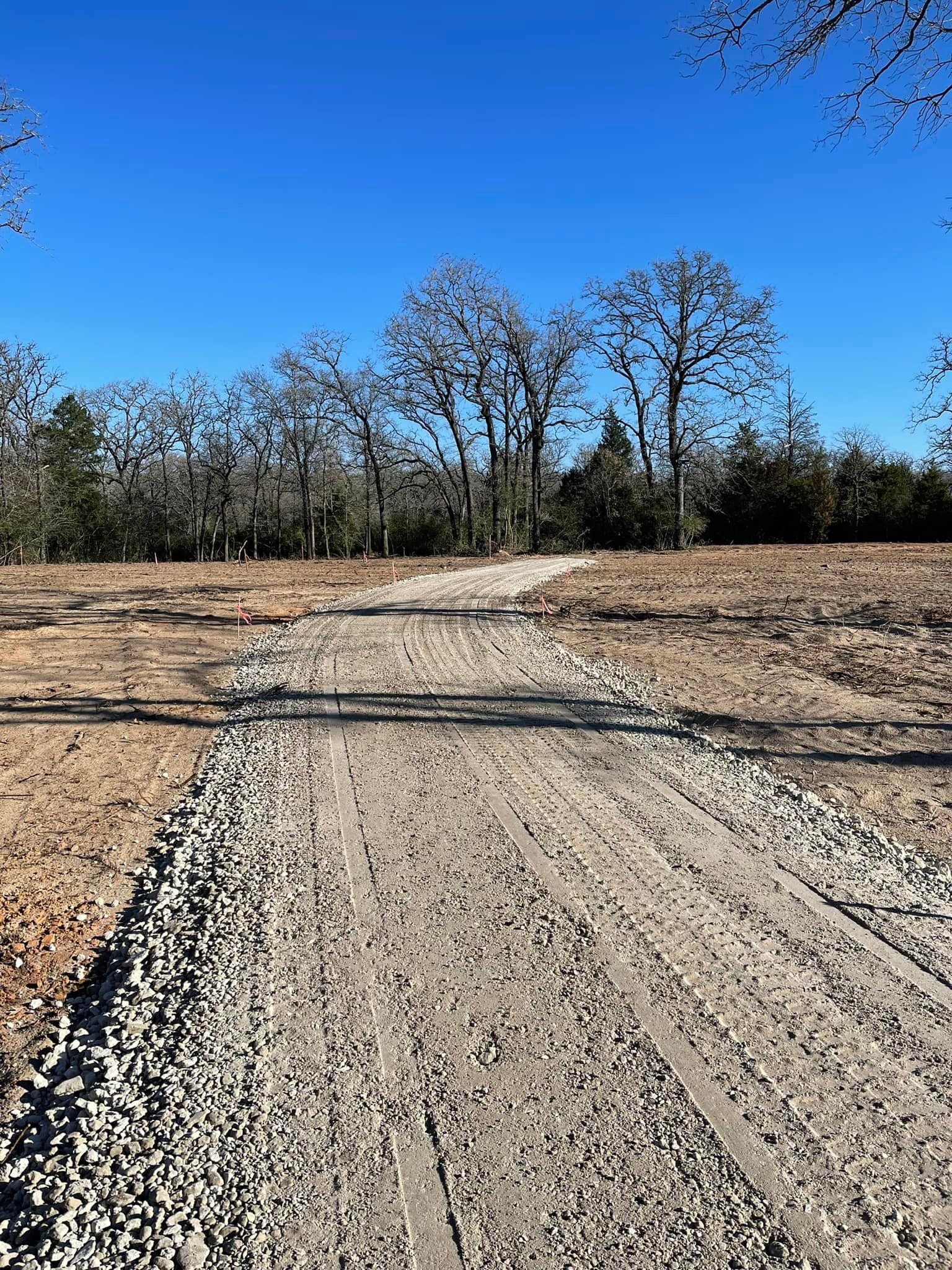 A gravel road leads toward bare trees under a bright blue sky, in a brown field.