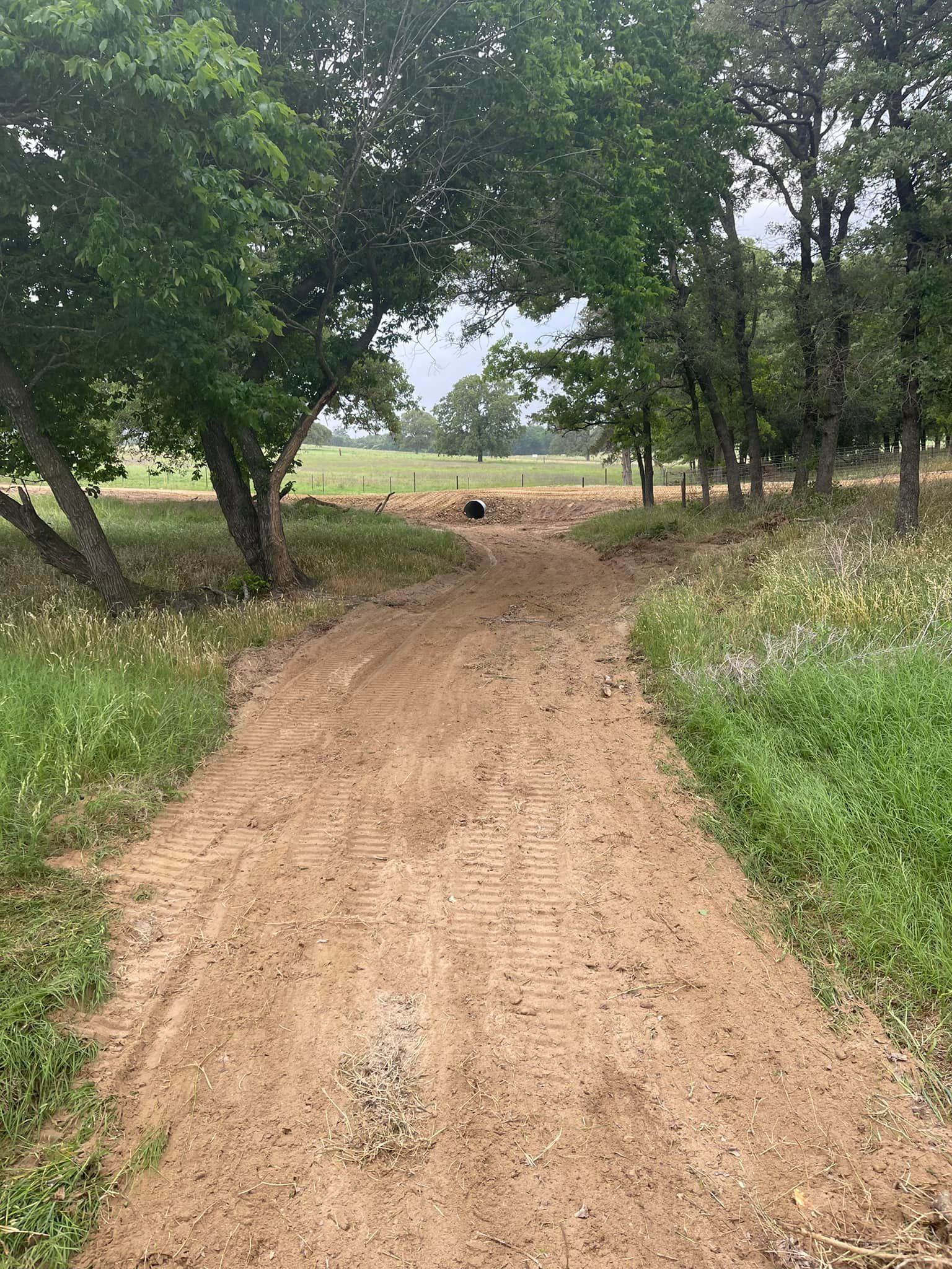 Dirt path leading through trees, toward a green field.