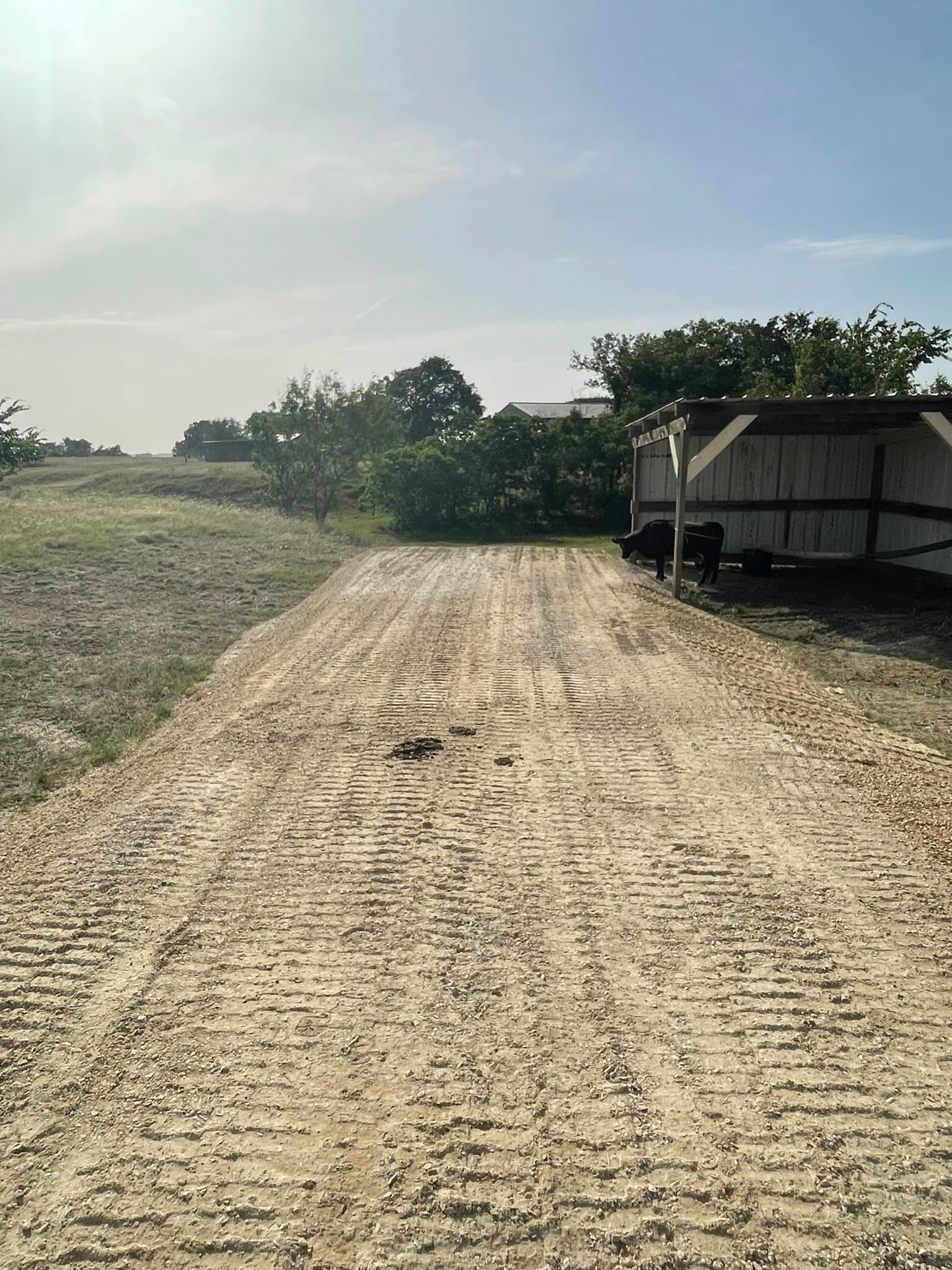 Dirt road leading to a shed with two dark figures, surrounded by greenery and a field. Sunny day.