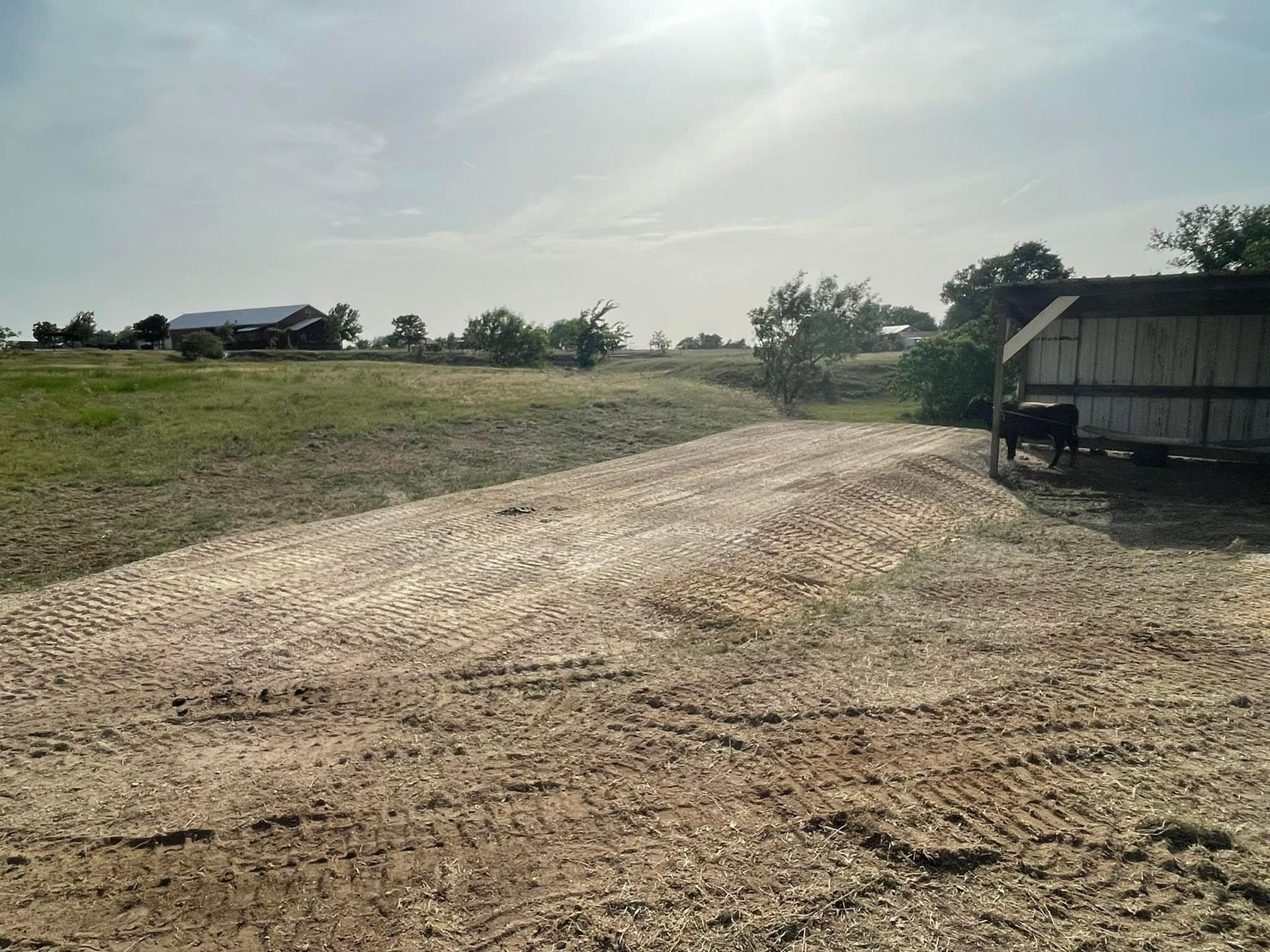 Dirt driveway leading to a grassy field, with a building in the distance under a bright sun.