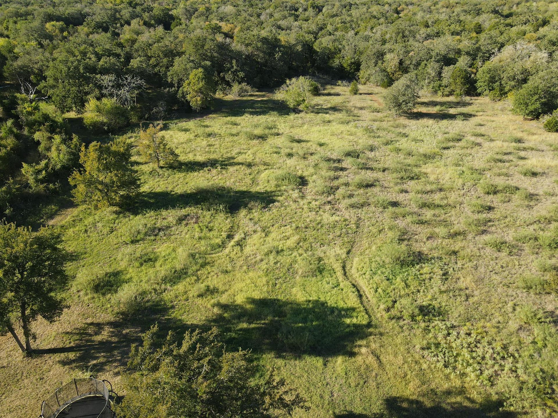 Aerial view of a grassy field surrounded by lush green trees under a sunny sky.