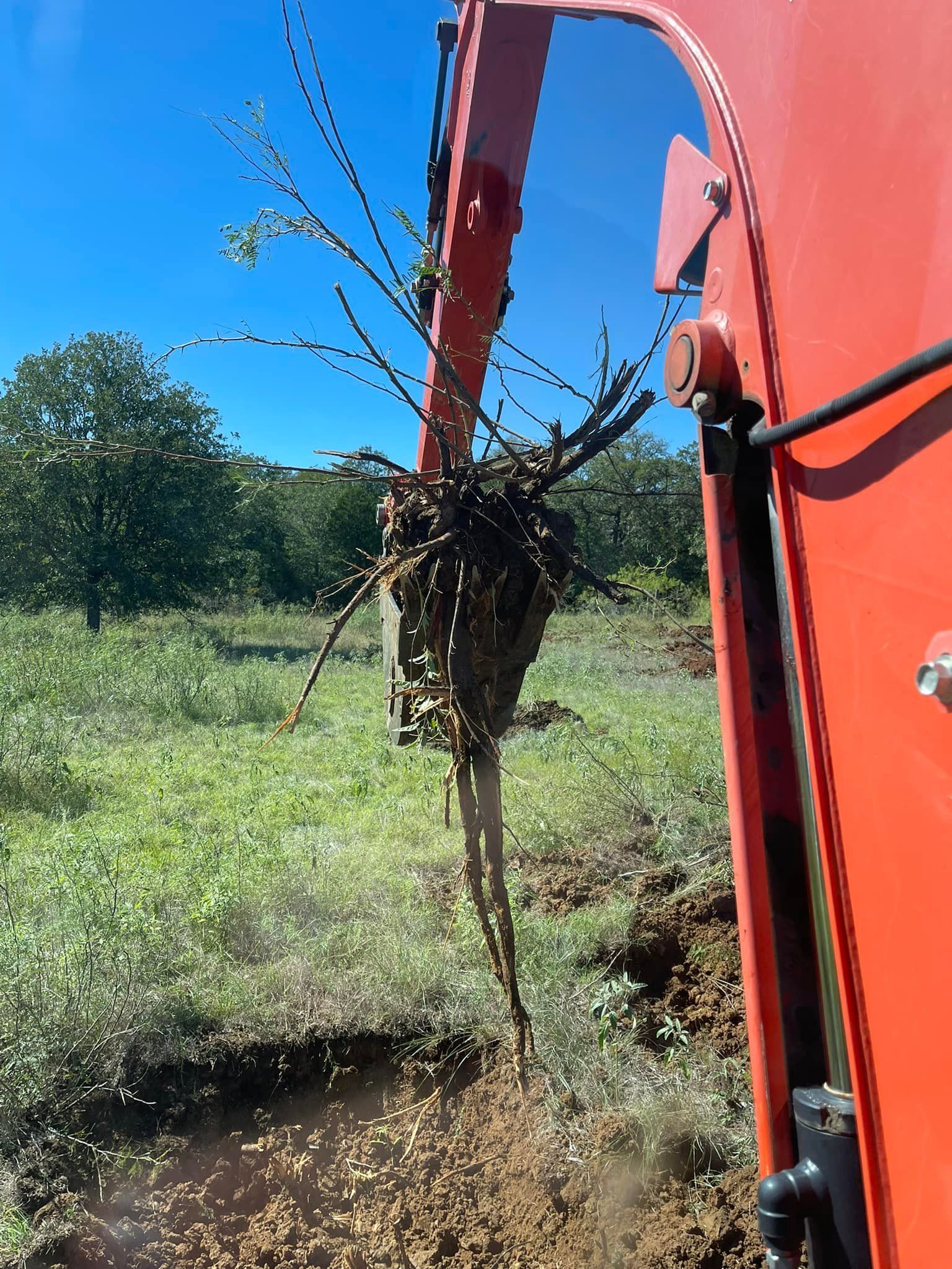 Excavator removing a plant with its roots in a field under a blue sky.