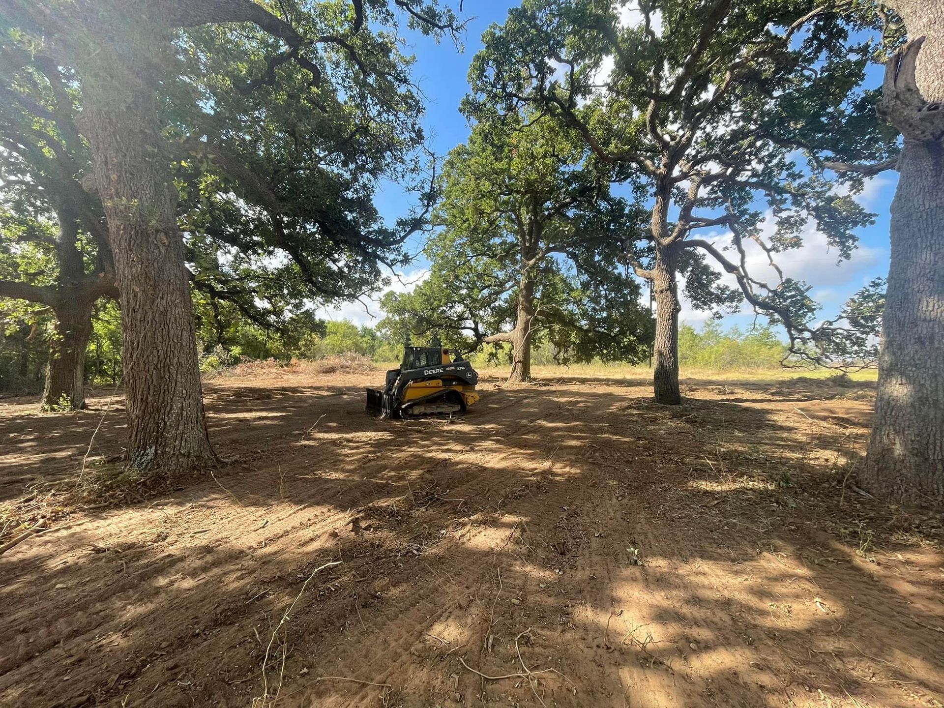 Mini excavator clearing land among large trees on a sunny day.