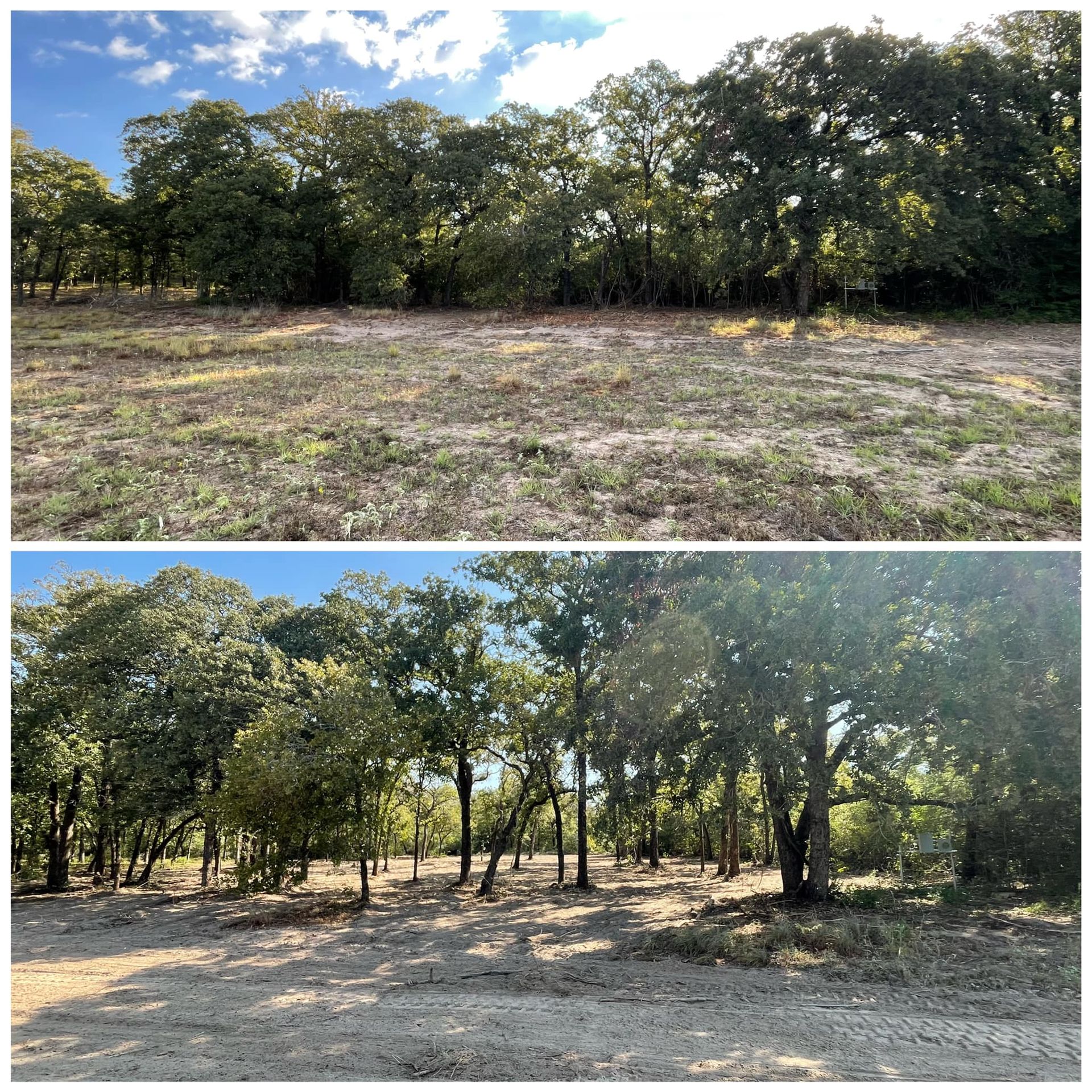 Two landscape views: one of a grassy field, the other of trees in a wooded area.