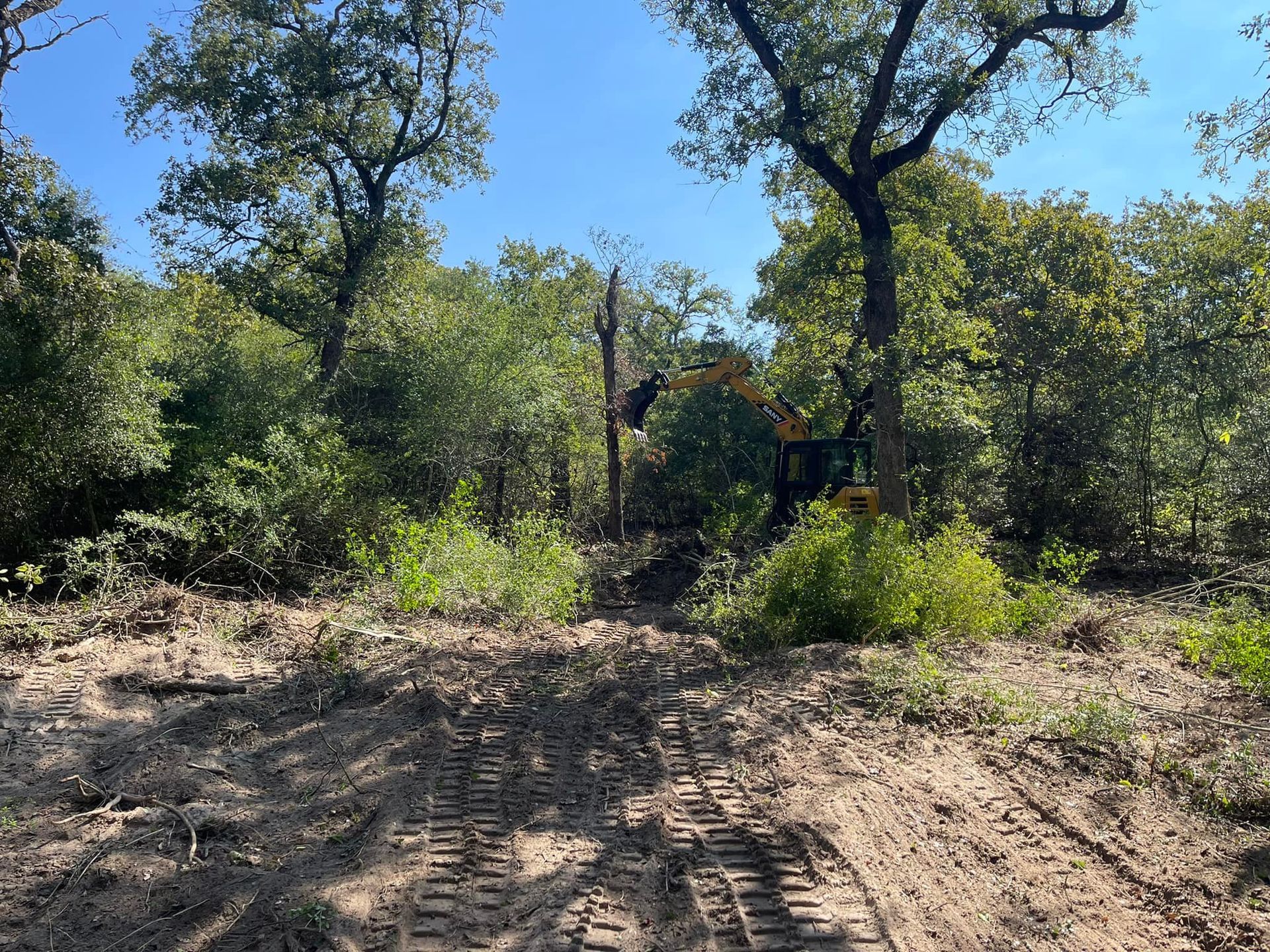 A sandy path through brush and trees with an excavator in the distance on a sunny day.