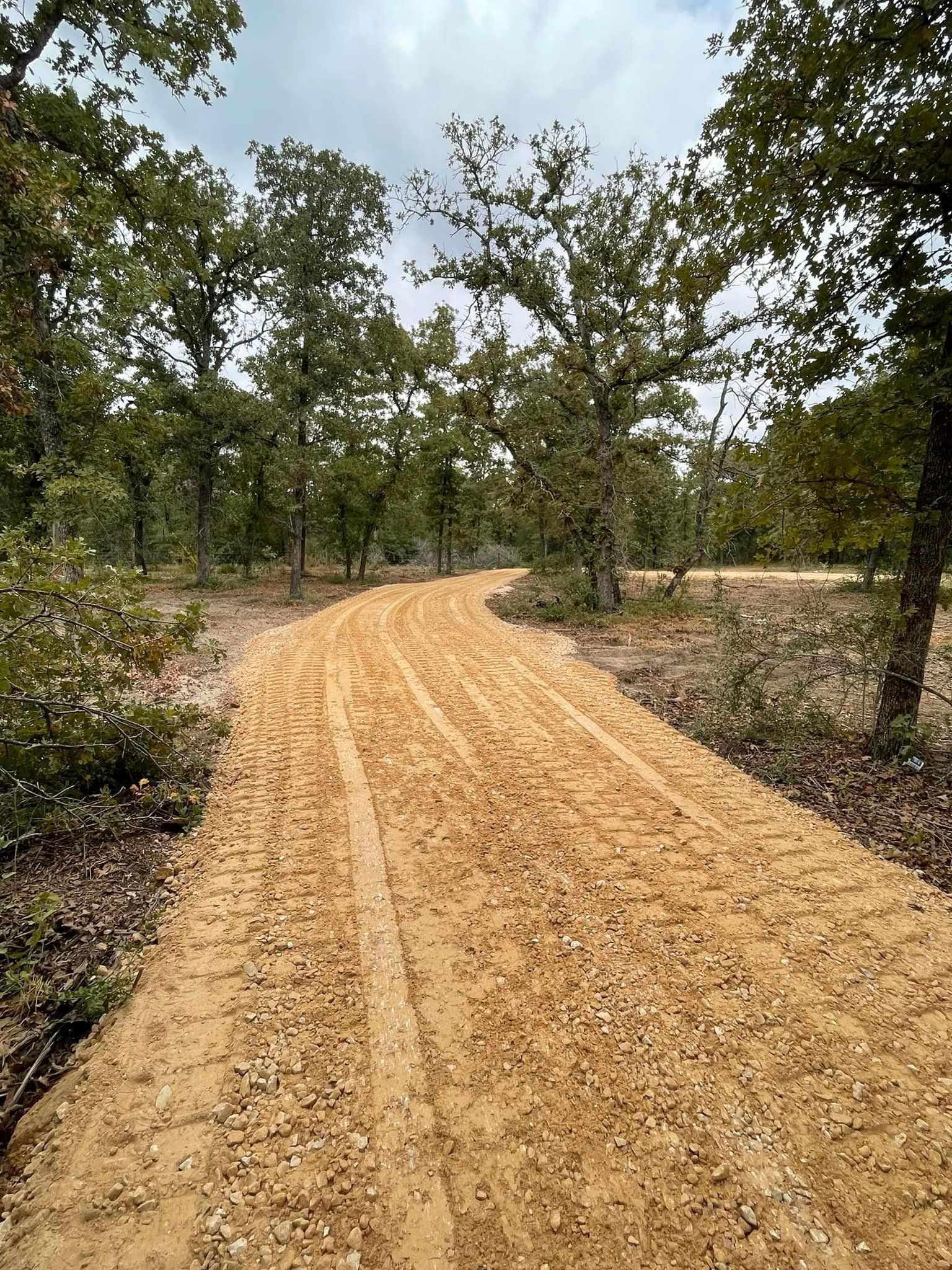 Dirt road through a forest with trees and overcast sky.