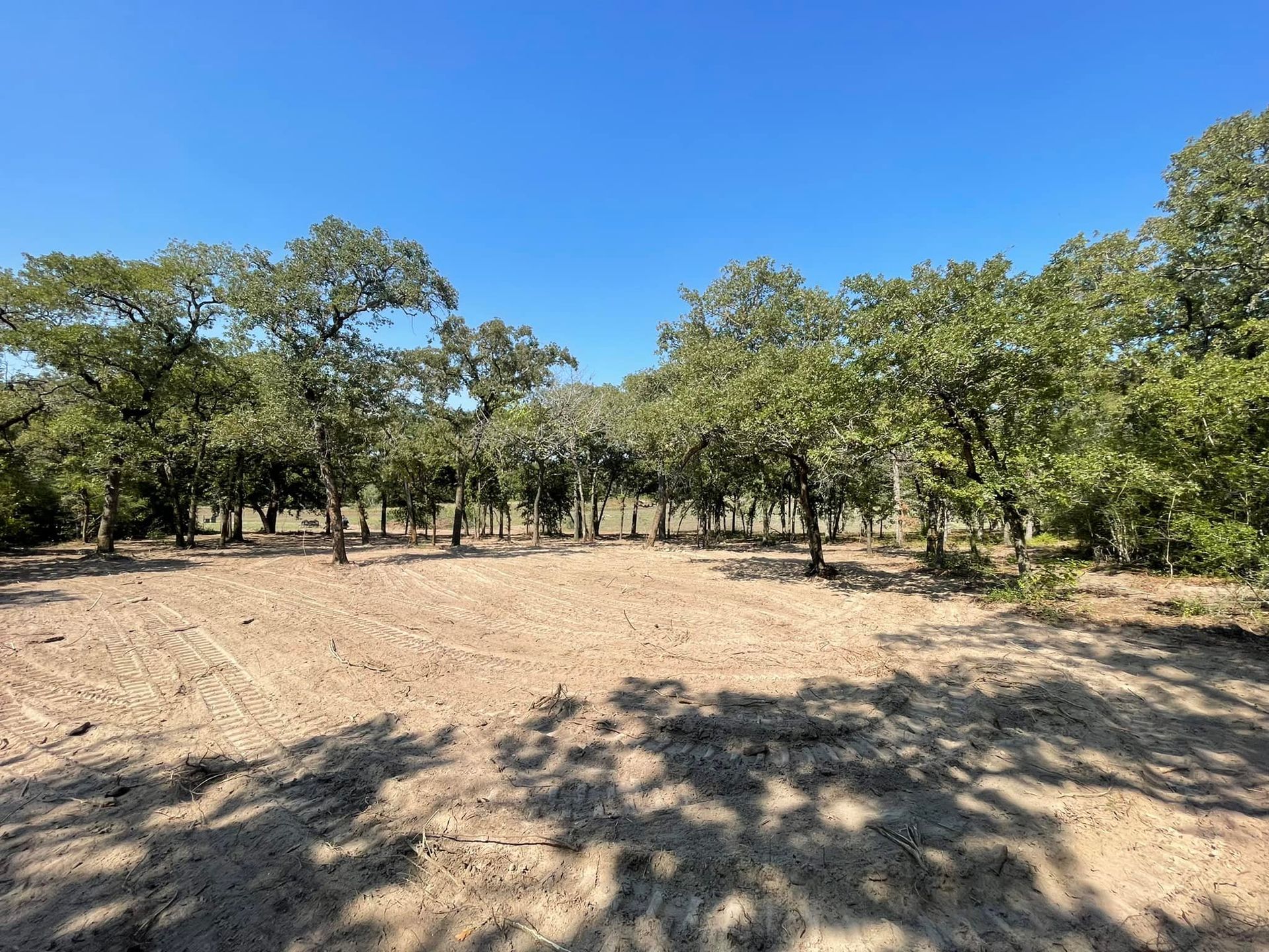 Open field with trees under a clear blue sky.