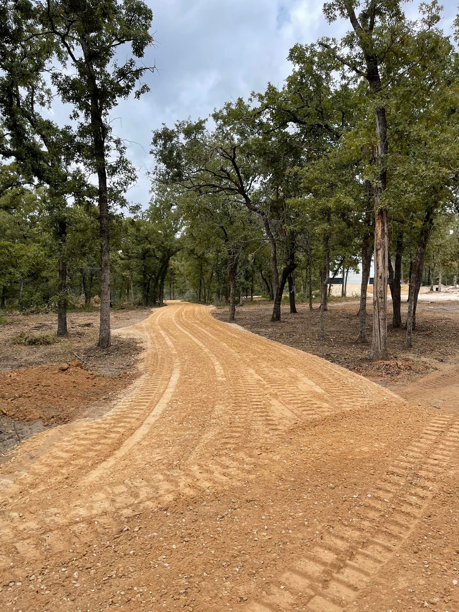 Dirt road through trees, with tire tracks; cloudy sky.